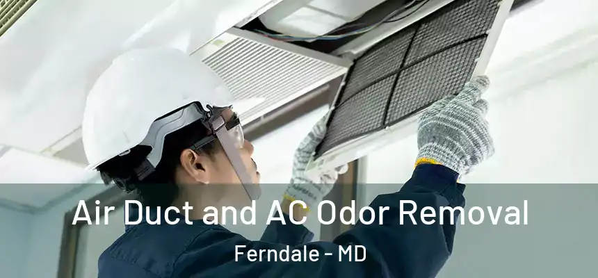 Air Duct and AC Odor Removal Ferndale - MD