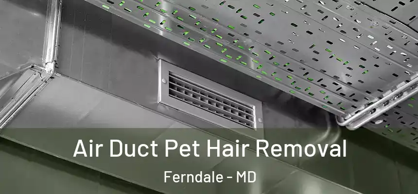 Air Duct Pet Hair Removal Ferndale - MD