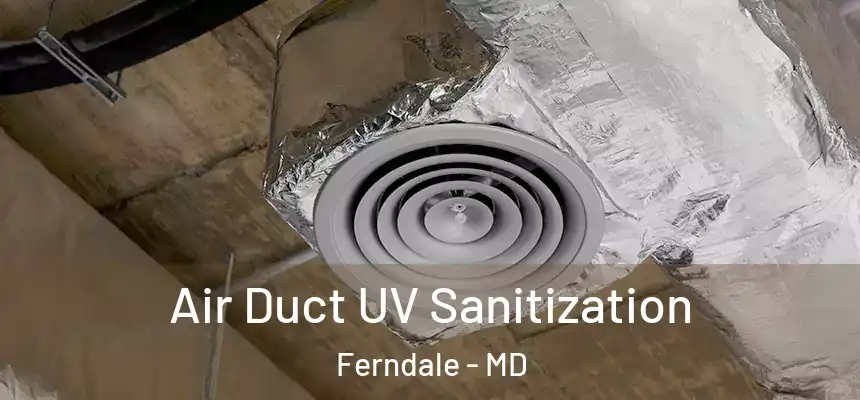  Air Duct UV Sanitization Ferndale - MD