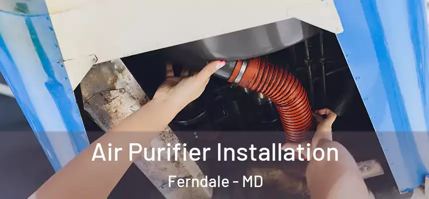  Air Purifier Installation Ferndale - MD