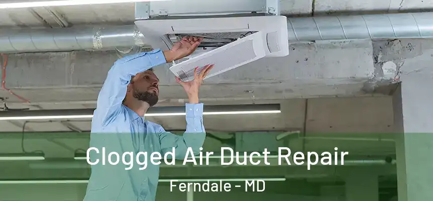  Clogged Air Duct Repair Ferndale - MD