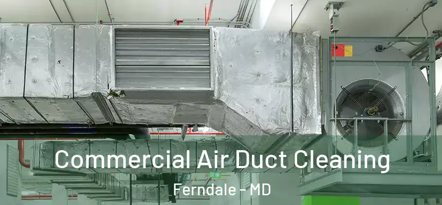  Commercial Air Duct Cleaning Ferndale - MD