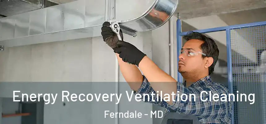  Energy Recovery Ventilation Cleaning Ferndale - MD