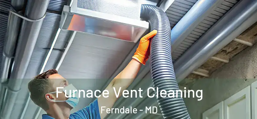  Furnace Vent Cleaning Ferndale - MD