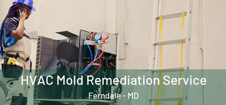  HVAC Mold Remediation Service Ferndale - MD