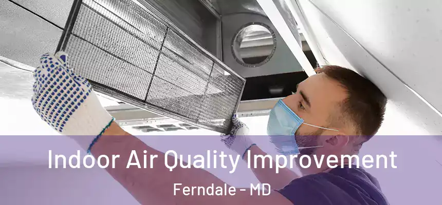  Indoor Air Quality Improvement Ferndale - MD