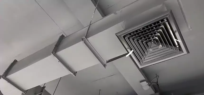 Our Pest Removal From Ducts Services in Ferndale, MD