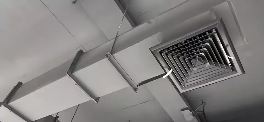 Our Rodent Droppings In Vents Services in Ferndale, MD