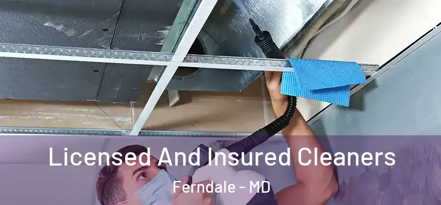  Licensed And Insured Cleaners Ferndale - MD