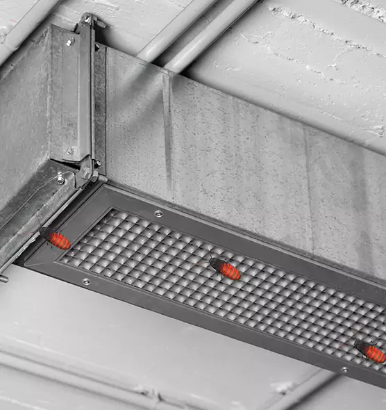 About Air Duct Cockroach Removal in Ferndale, MD