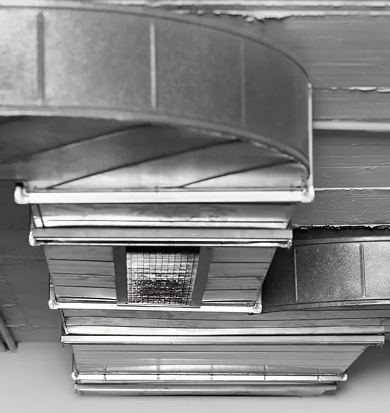 Professional Air Duct Pest Removal in Ferndale, MD