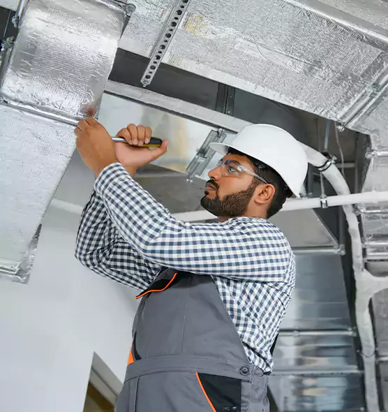 Welcome to Mold & Mildew Removal from Air Ducts Ferndale, MD