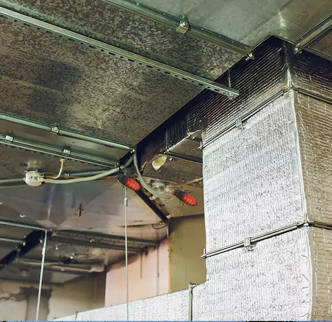 Why Homeowners & Businesses Trust Us in Ferndale, MD?