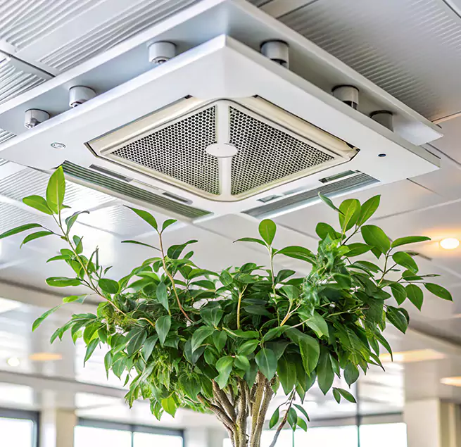 Why Homeowners & Businesses Trust Us in Ferndale, MD