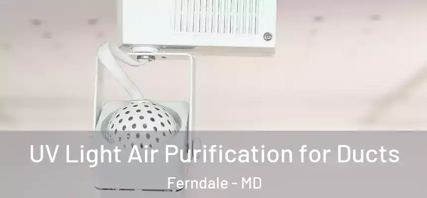  UV Light Air Purification for Ducts Ferndale - MD