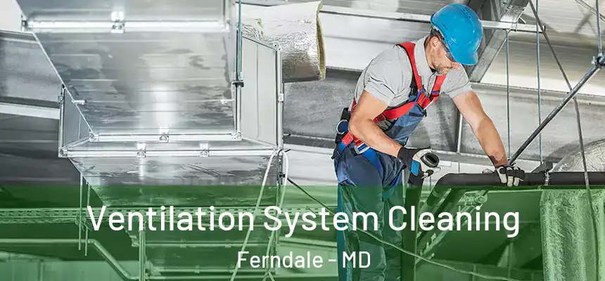 Ventilation System Cleaning Ferndale - MD
